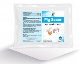 Pig Scour